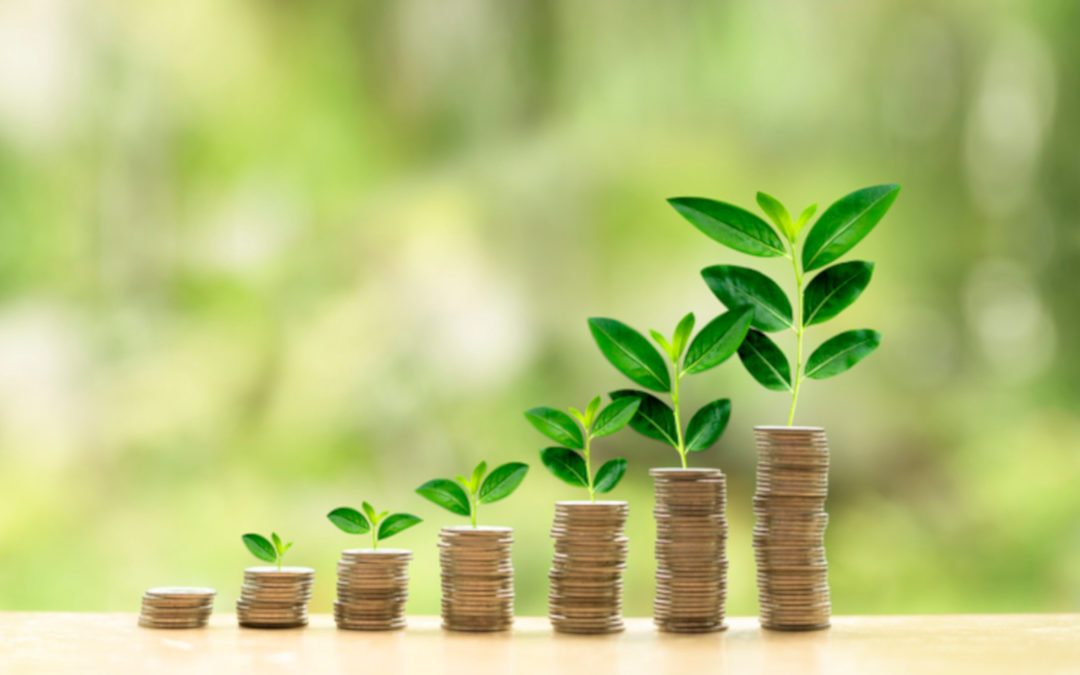 15 Ways to Maximize Your House Flipping Profit Margin