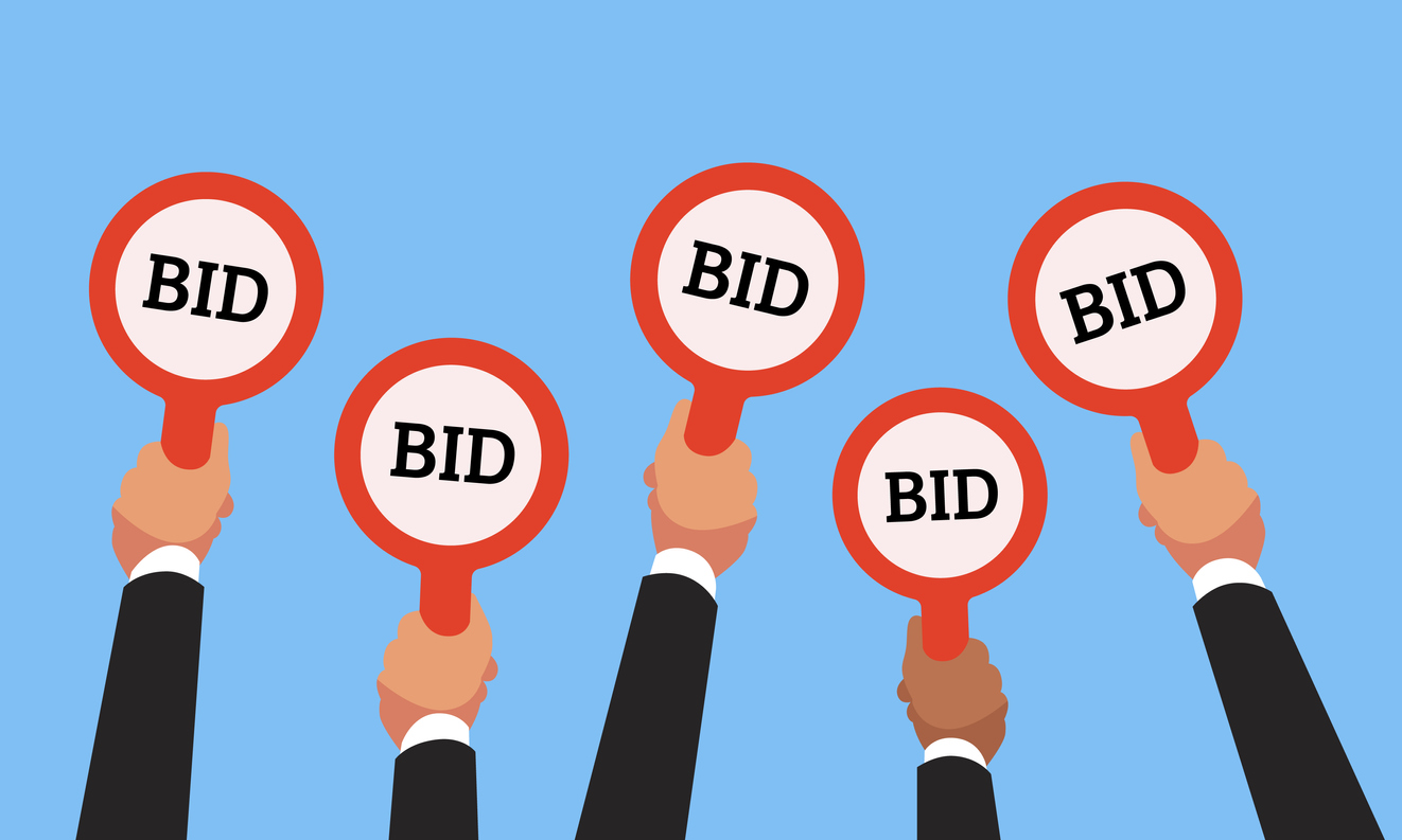 Best Foreclosure Auction Bidding Strategy