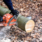 Rehab Cost Estimation: Tree Removal Cost