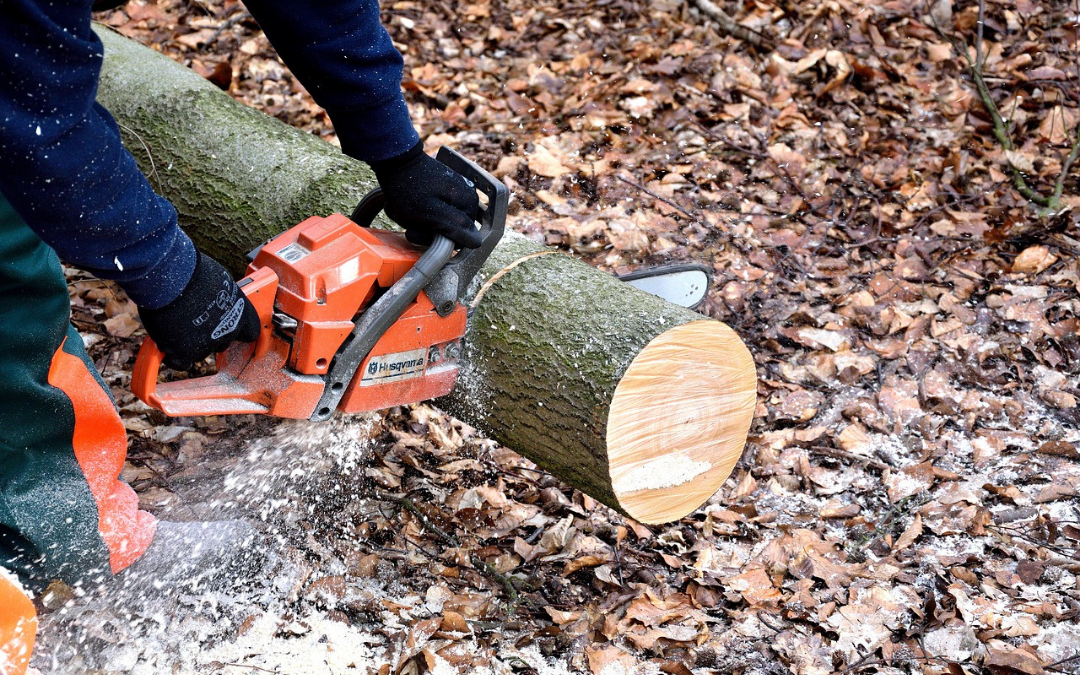 Rehab Cost Estimation: Tree Removal Cost